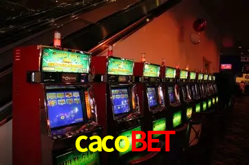 A Experiência Imersiva dos Cassinos Ao Vivo no cacobet